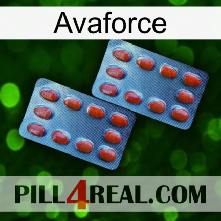 Avaforce 05